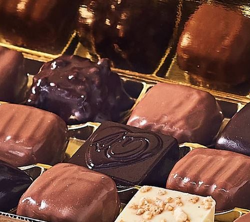 JUDO CLUB LANSARGUES : chocolat de noël 2022